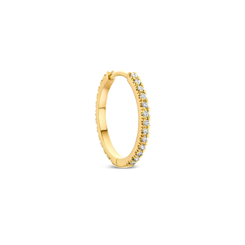 Gold hoop earring with embedded diamonds.