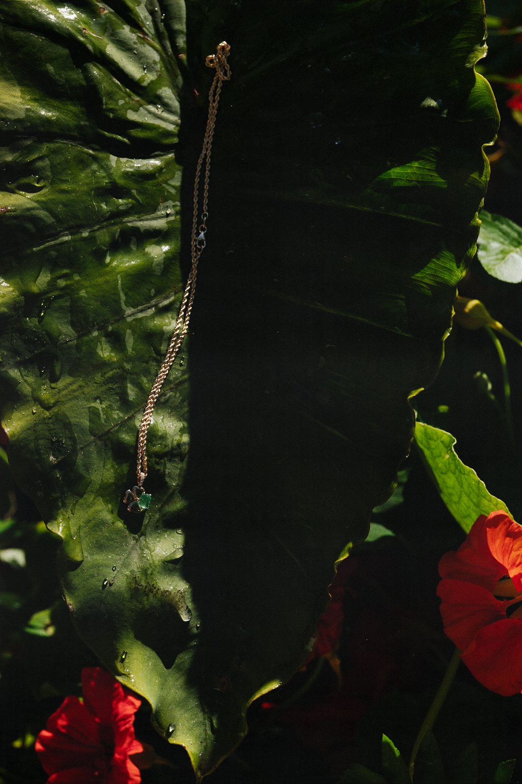 Necklace hanging against a dark green leafy background with red flowers.