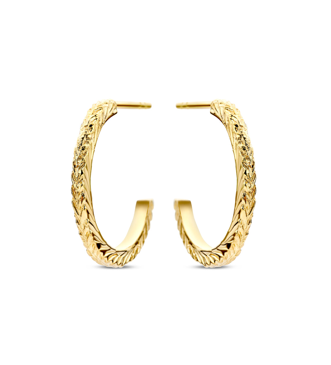 Gold hoop earrings on a white background